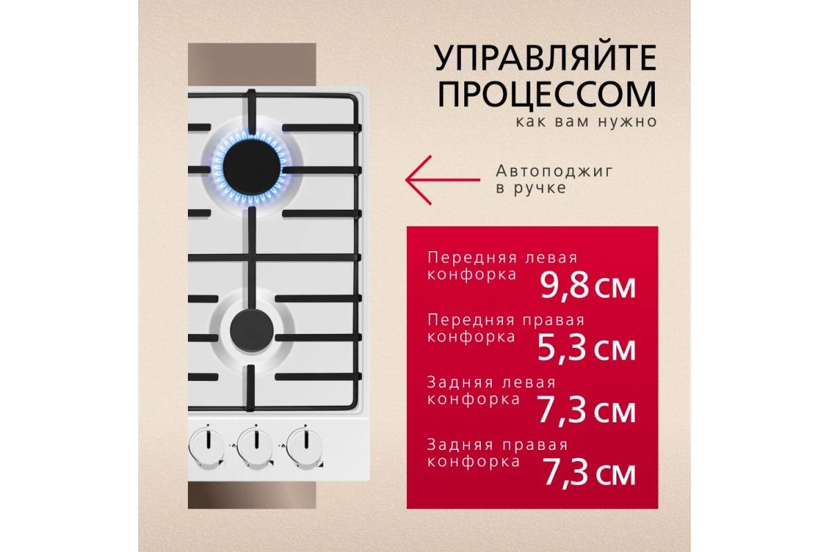 Газовая панель Hansa BHGW630301