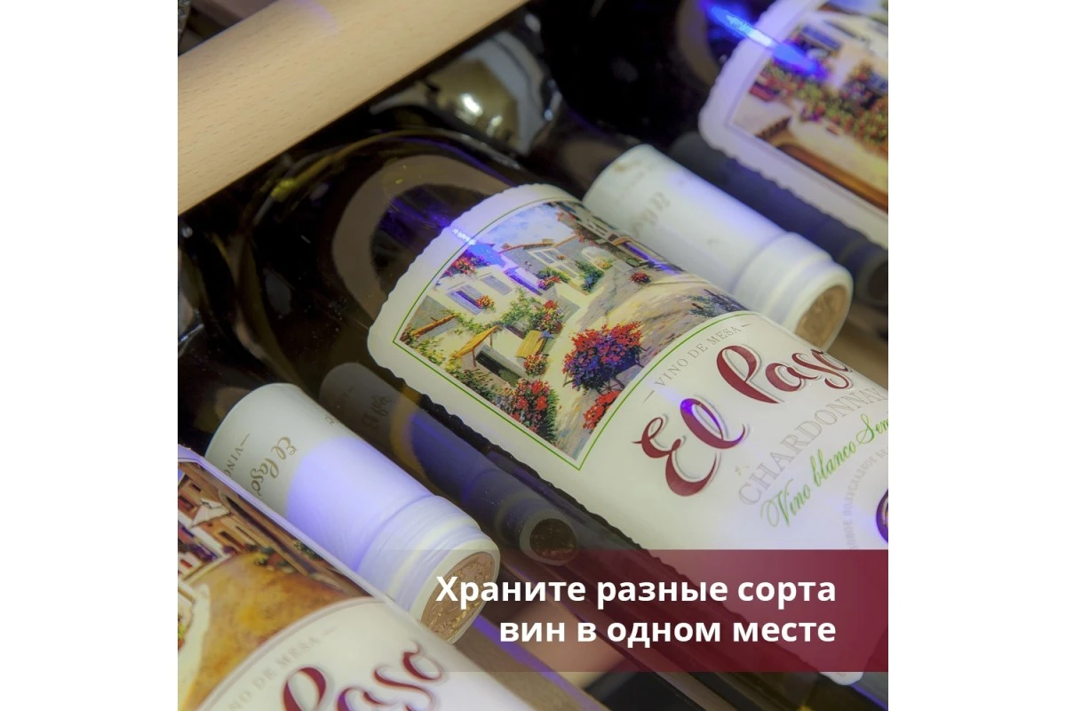 Винный шкаф Cold Vine C38-KSF2