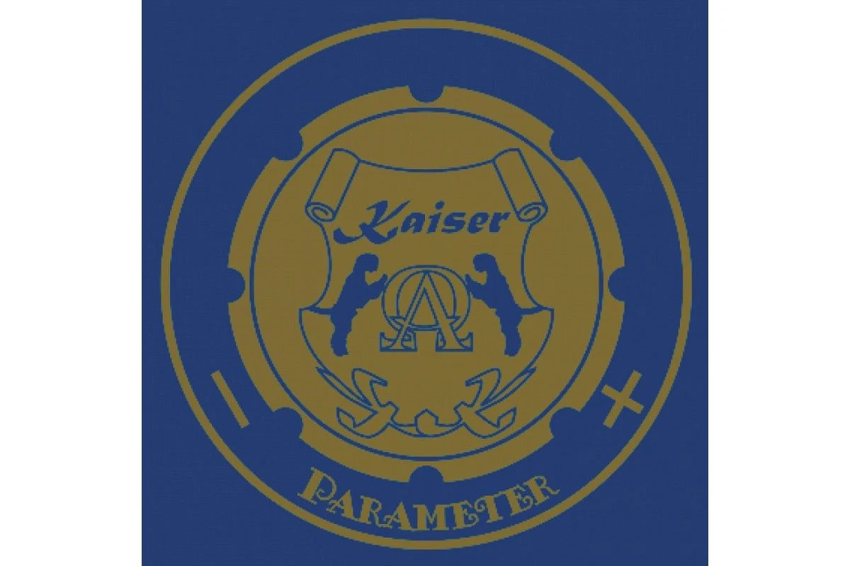 Варочная панель Kaiser KCT 6723 FI BluBE