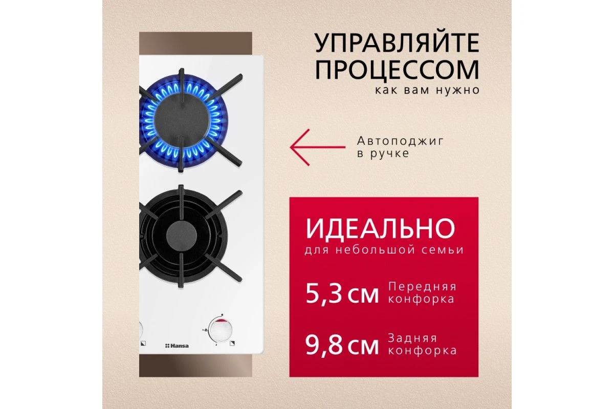 Газовая панель Hansa BHKW310300