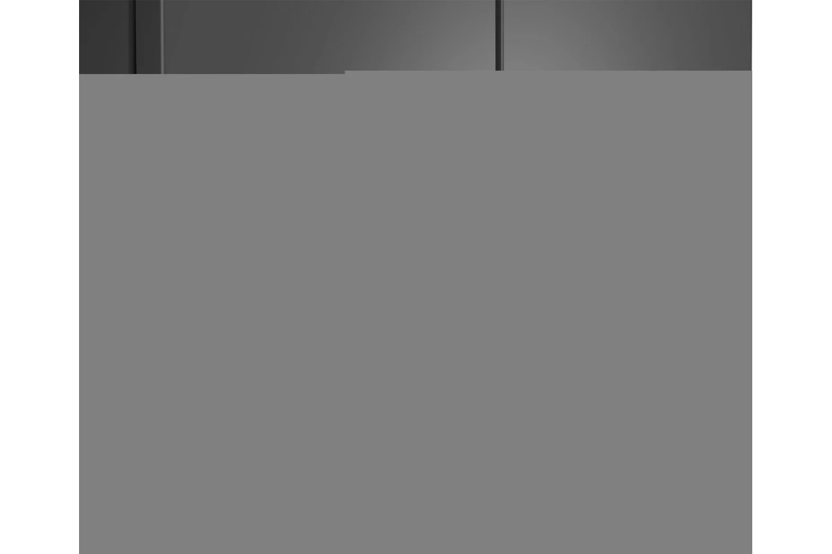 Отдельностоящий холодильник с инвертором Weissgauff WCD 450 Dark Grey NoFrost Inverter