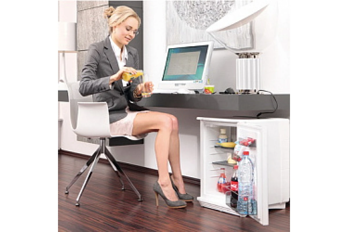Минибар Dometic DS 600 FS