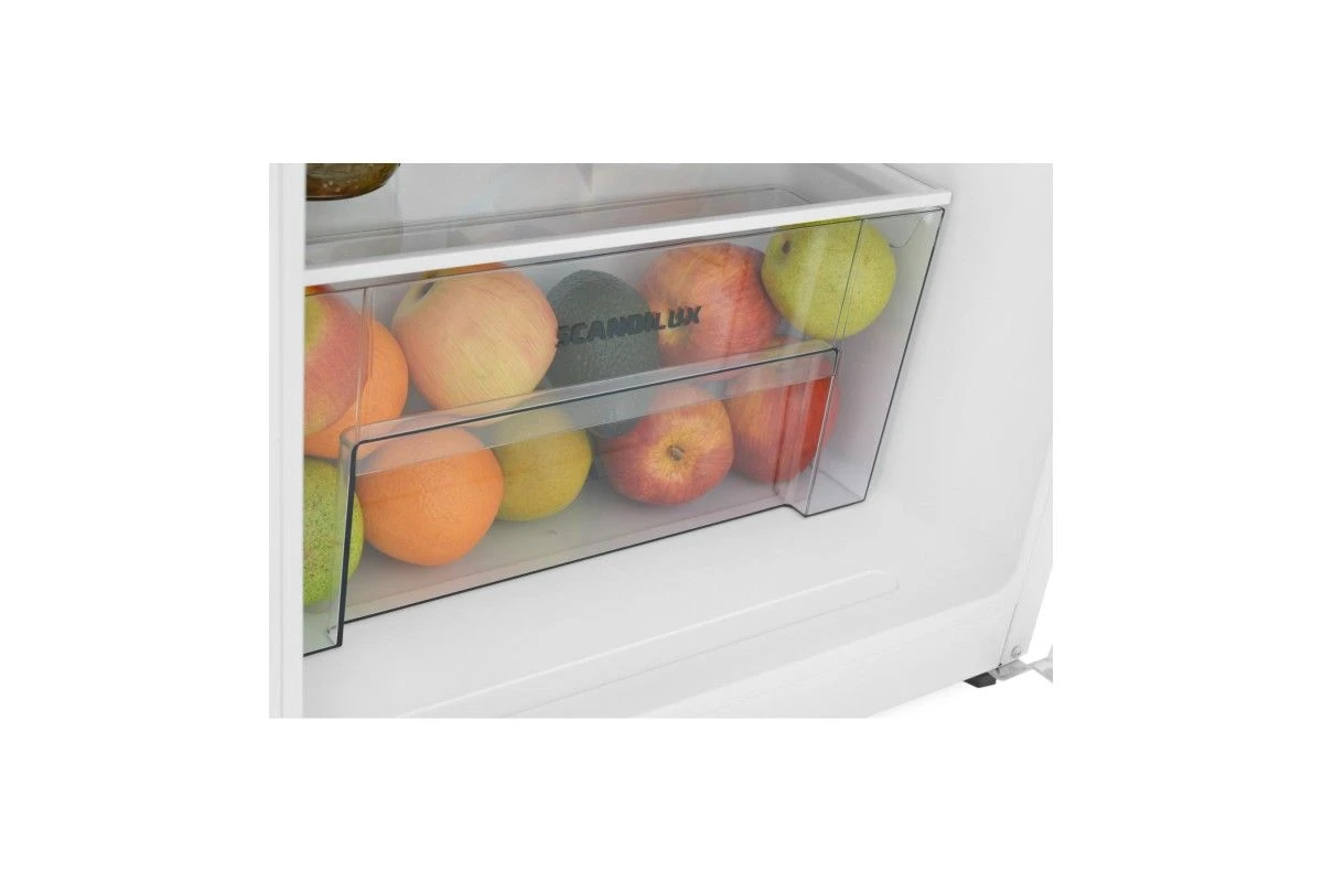 Холодильник Scandilux R 091 W White