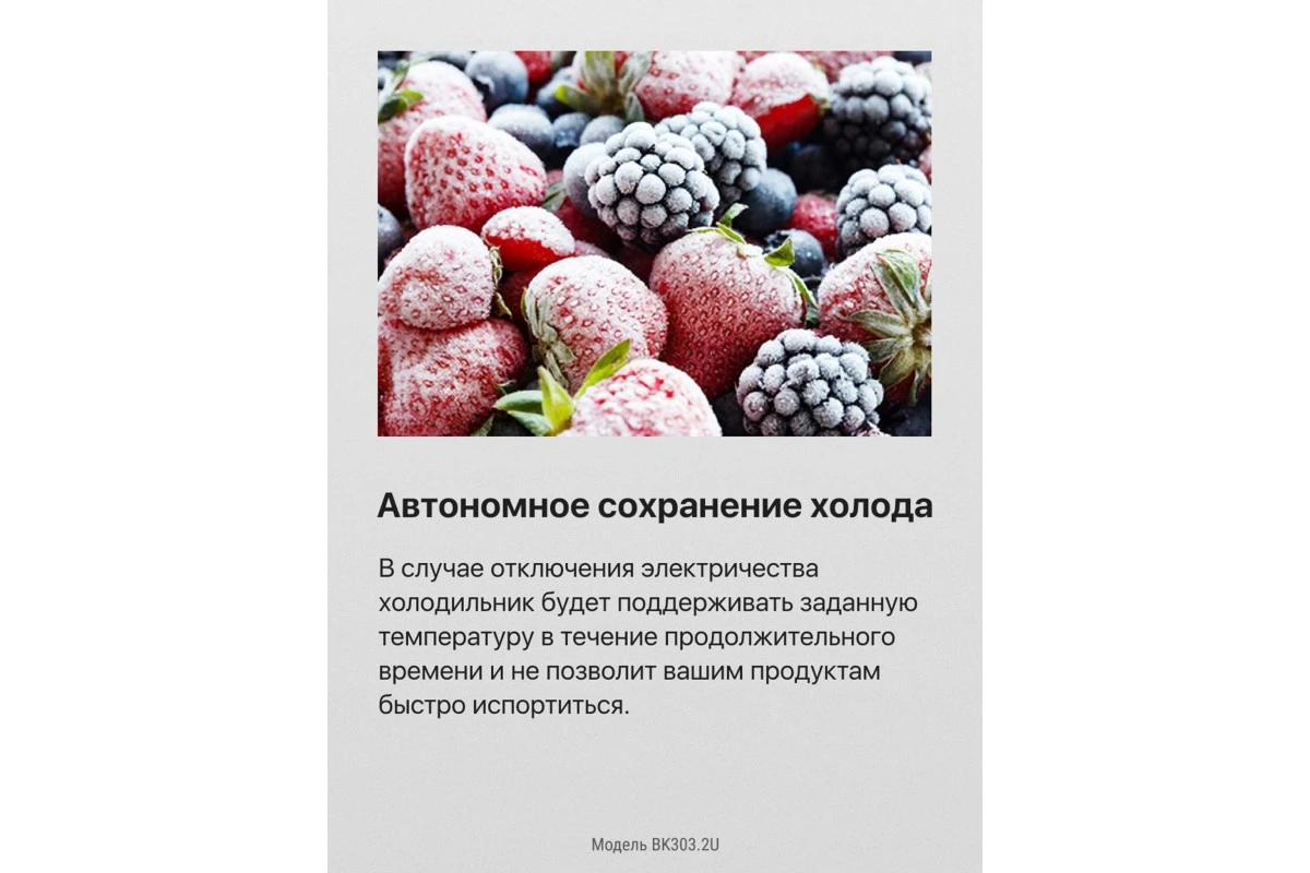 Встраиваемый холодильник Hansa BK303.2U