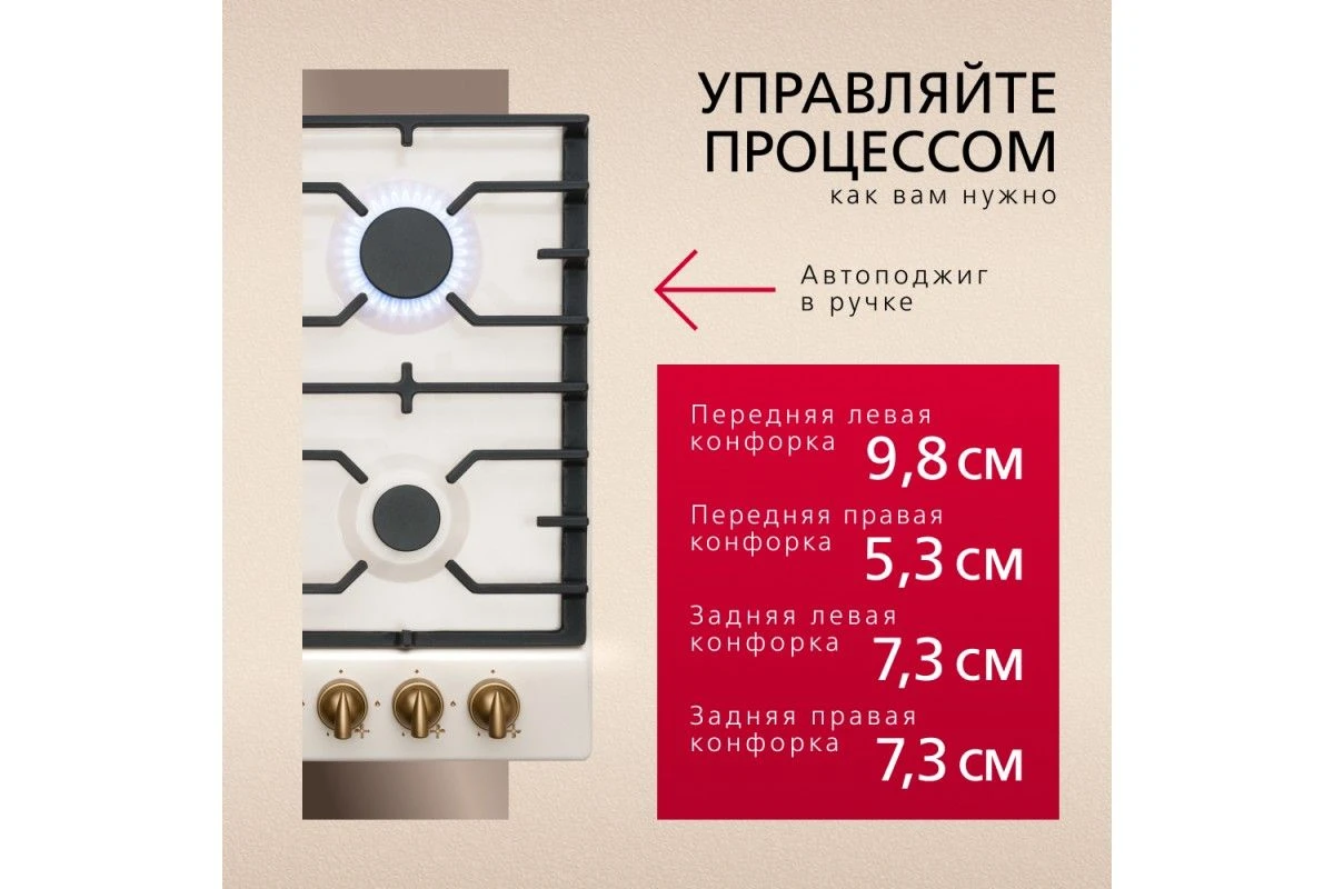 Газовая панель Hansa BHGY610791