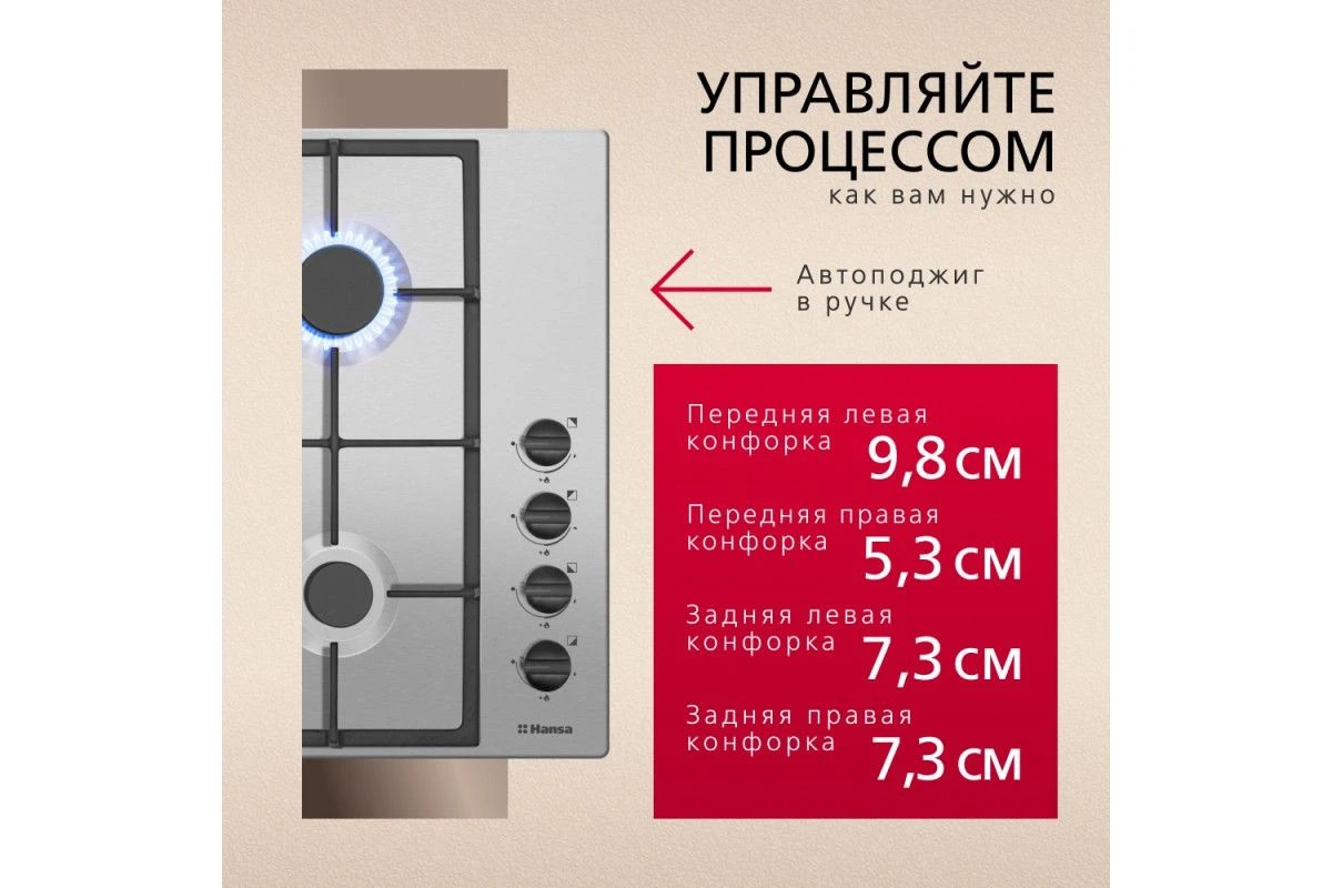 Газовая панель Hansa BHGI620530