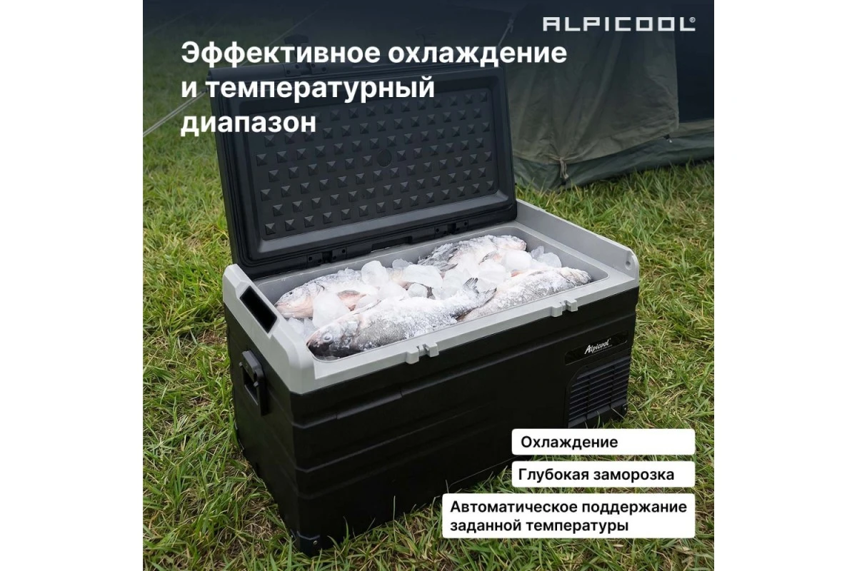 Автохолодильник Alpicool TS100 (12/24)
