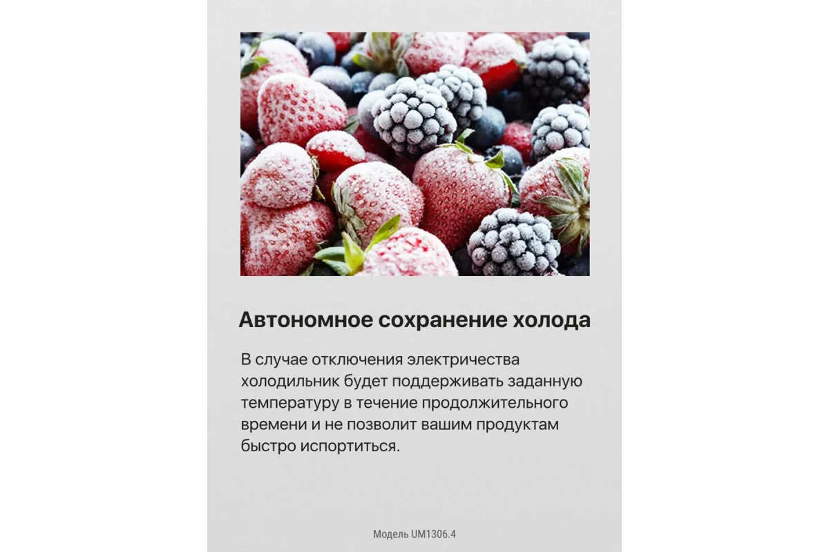 Встраиваемый холодильник Hansa UM1306.4