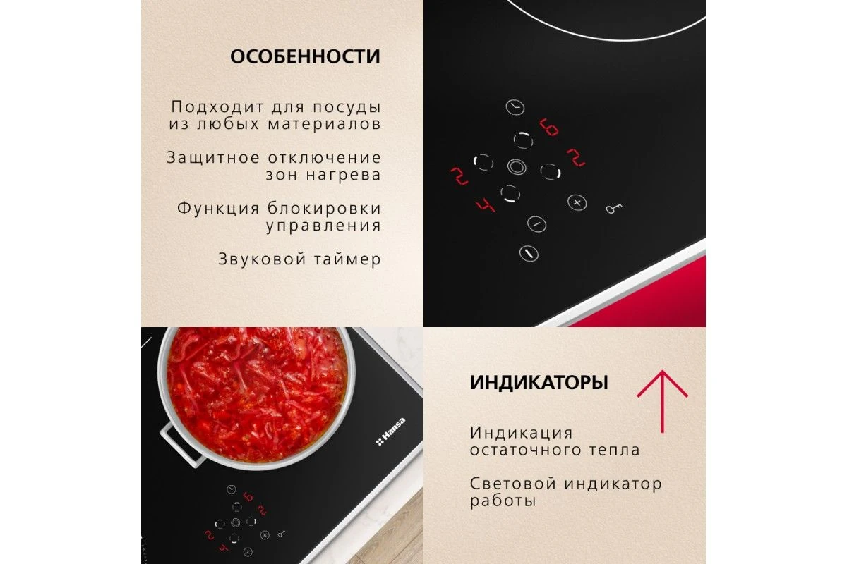 Электрическая панель Hansa BHCI66706