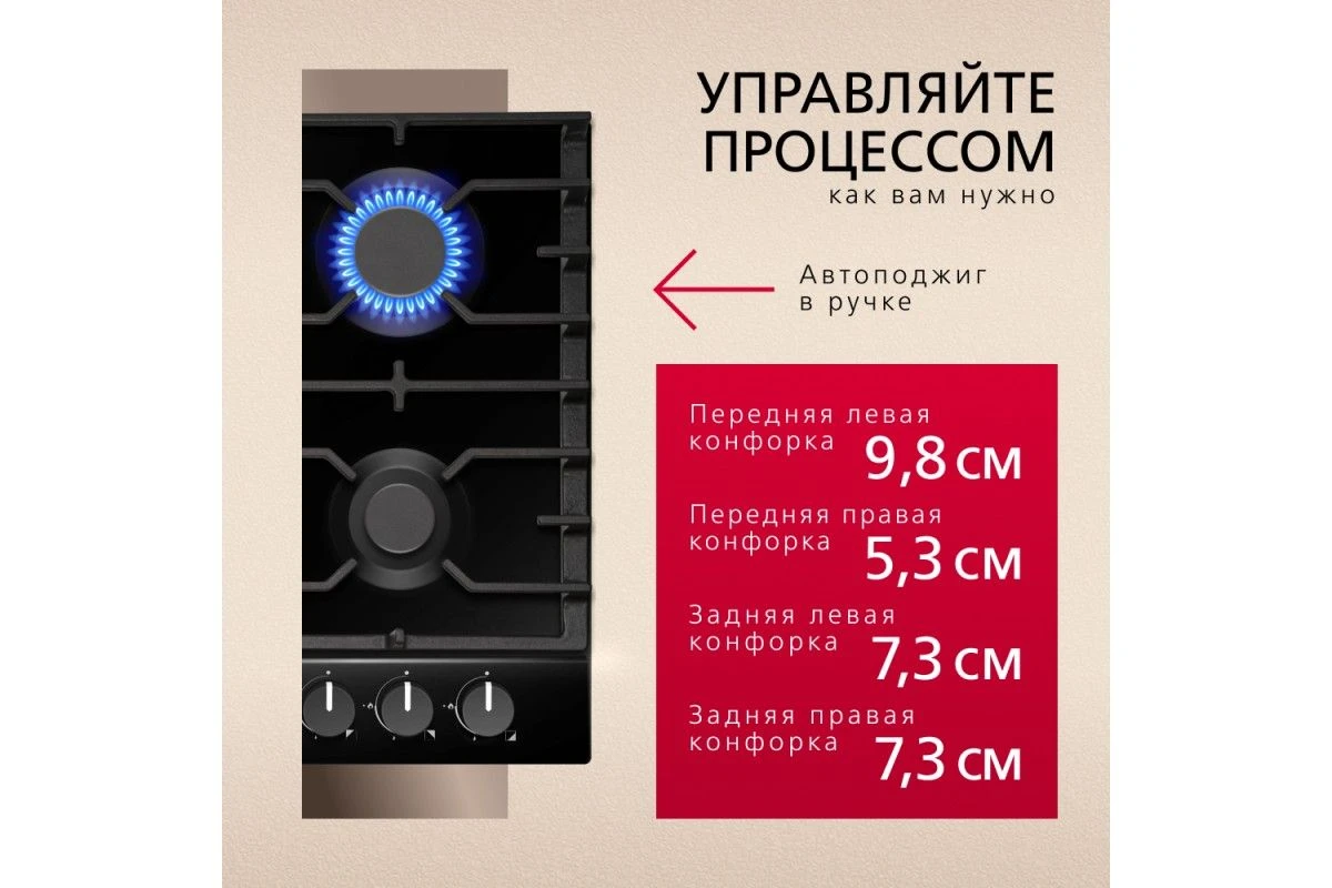 Газовая панель Hansa BHGS630301