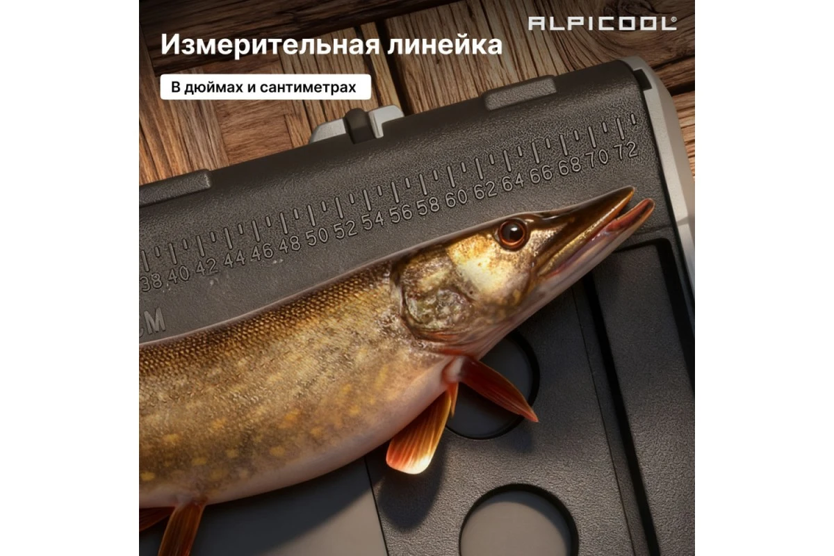 Автохолодильник Alpicool TS100 (12/24)