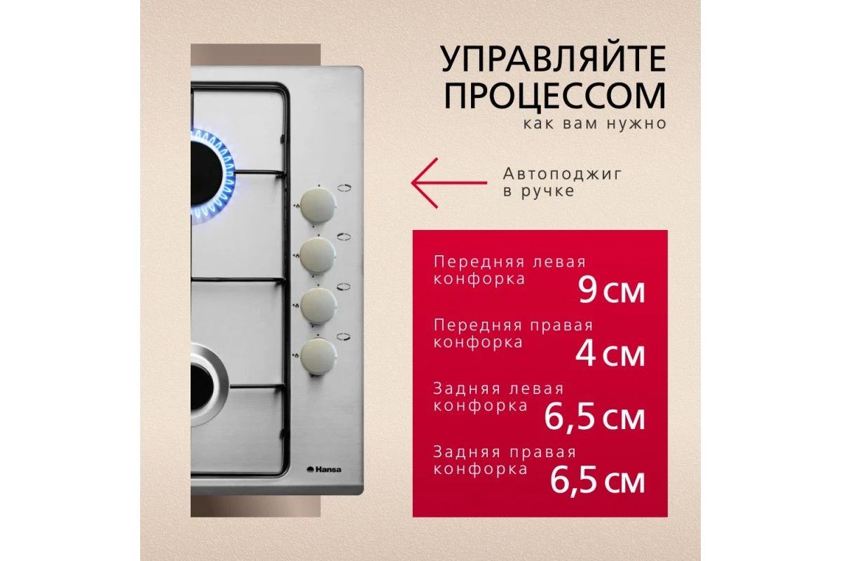 Газовая панель Hansa BHGI63100015