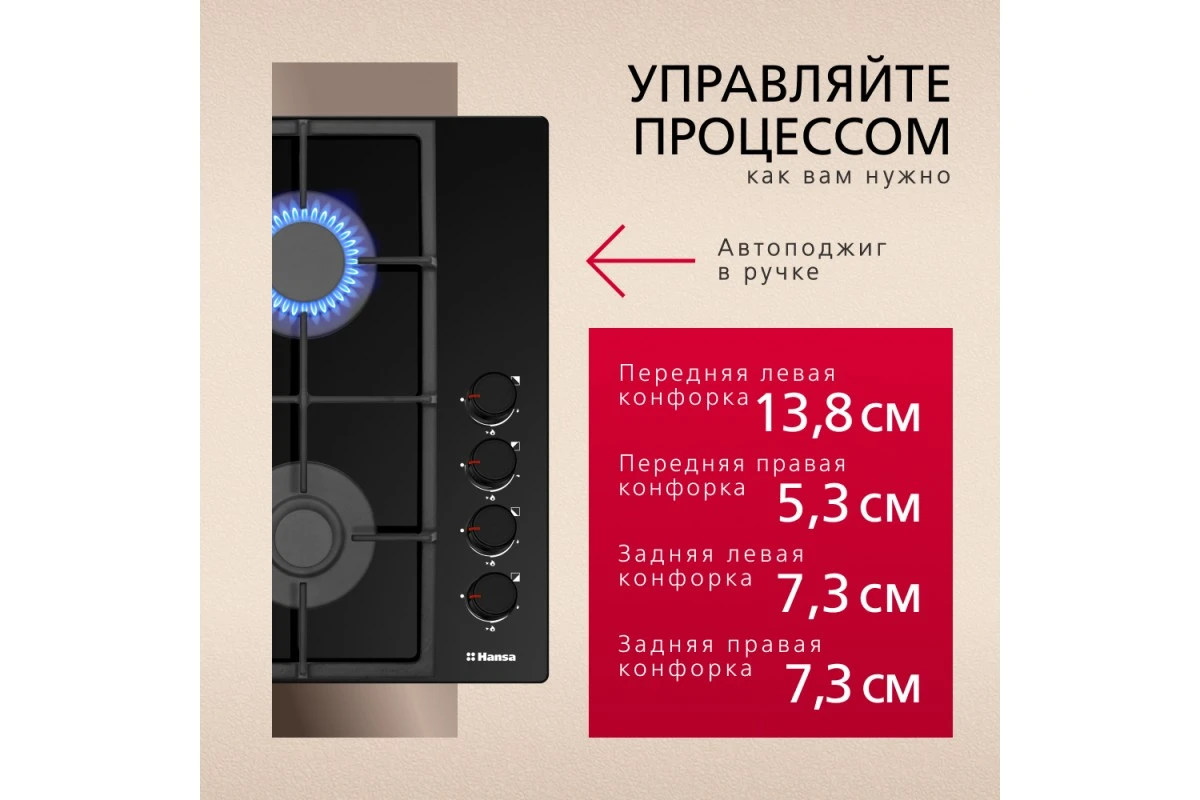 Газовая варочная поверхность Hansa BHKS661830