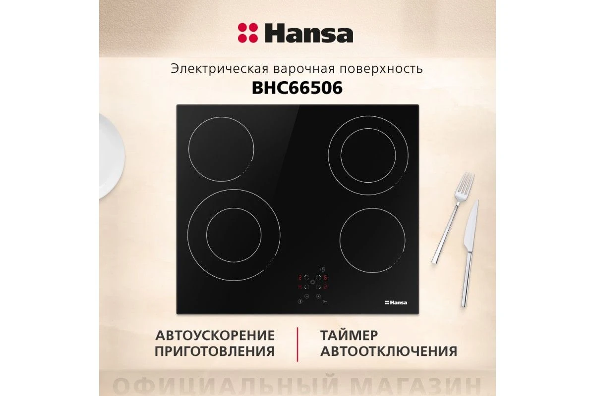 Электрическая панель Hansa BHC66506