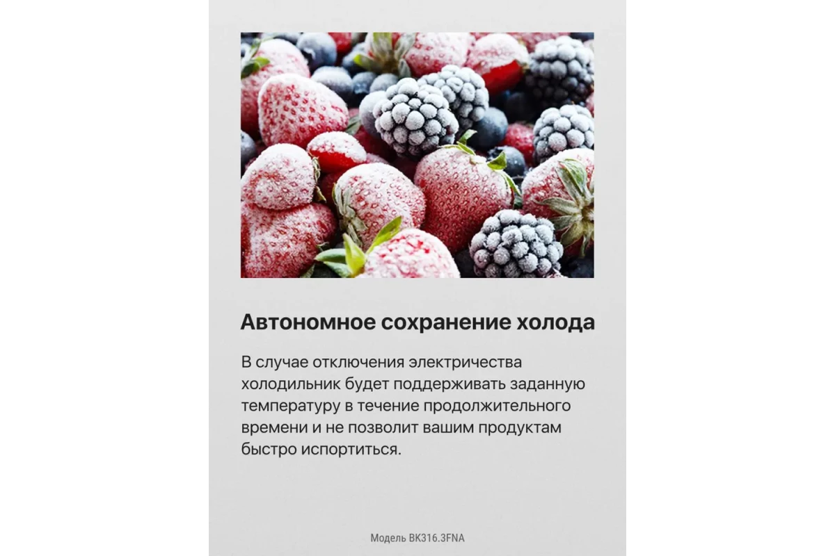 Встраиваемый холодильник Hansa BK316.3FNA