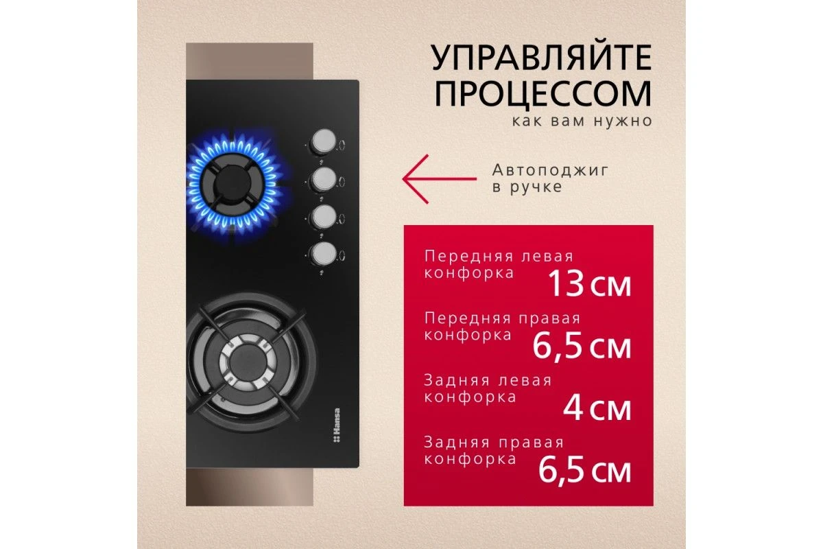 Газовая панель Hansa BHGI63112035