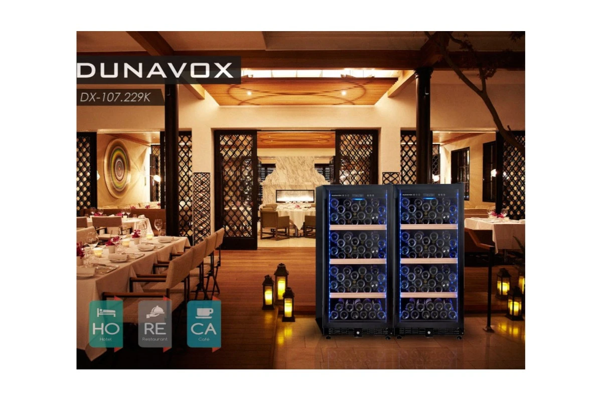 Винный шкаф Dunavox DX-107.229K