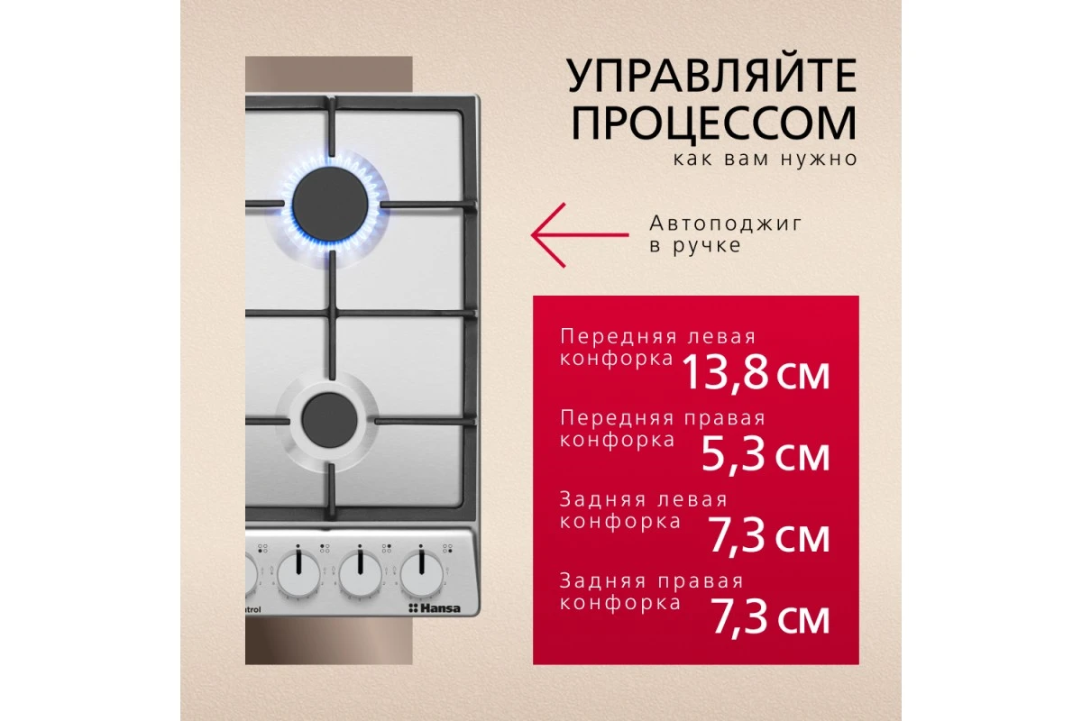 Газовая варочная поверхность Hansa BHGI6318511