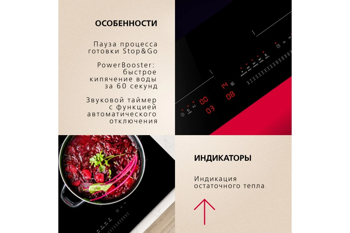 Индукционная панель Hansa BHI67606