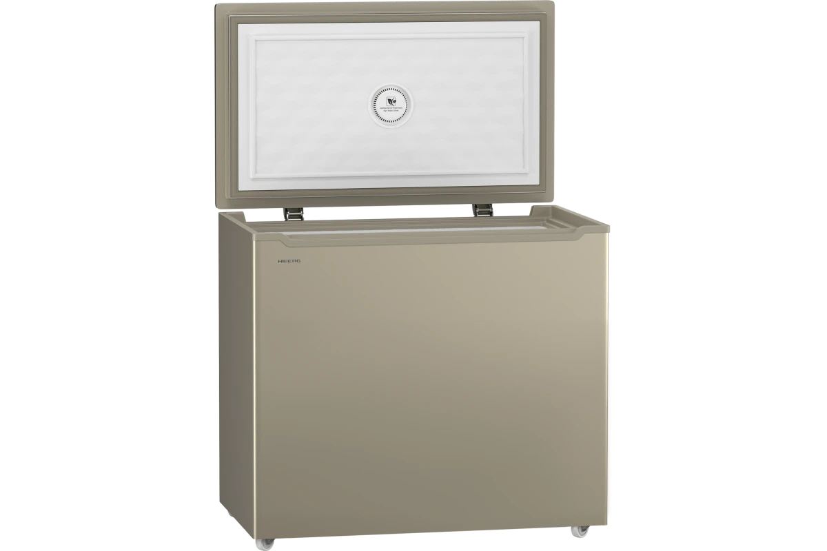 Морозильник Hiberg PF 25 NFG