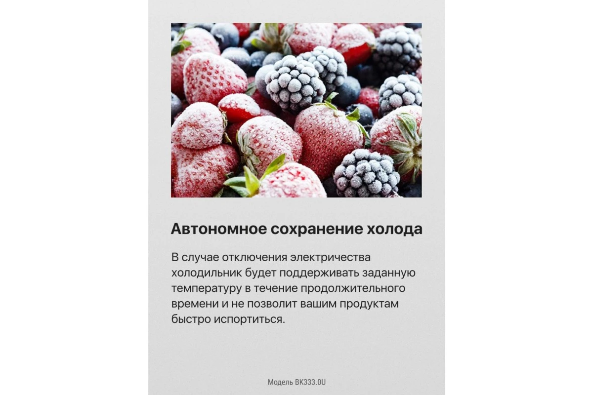 Встраиваемый холодильник Hansa BK3167.3FA