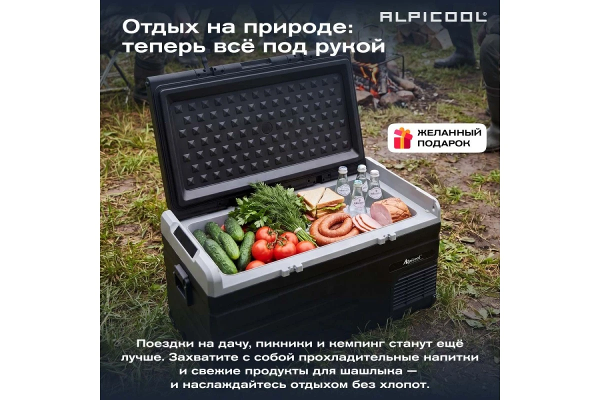 Автохолодильник Alpicool TS100 (12/24)