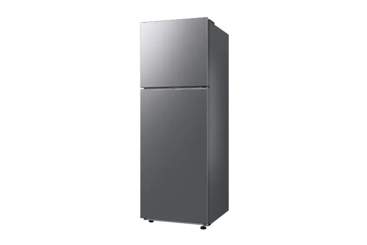 Двухкамерный холодильник Samsung RT35CG5000S9WT серебристый