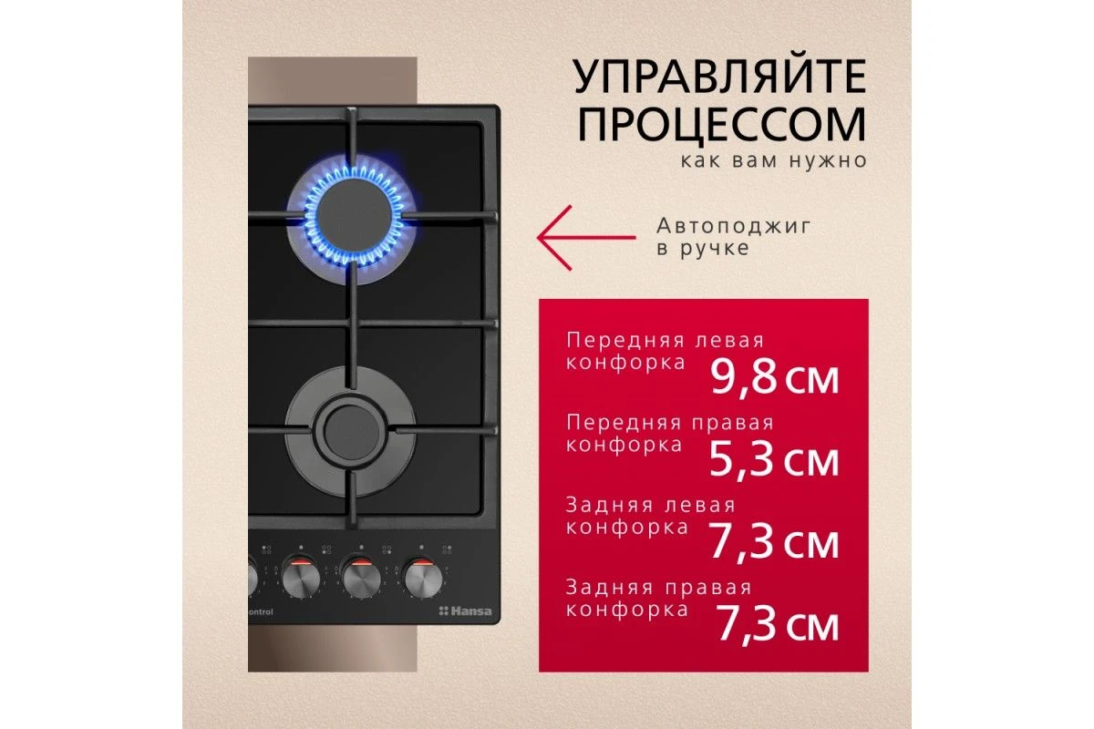 Газовая панель Hansa BHKS630540