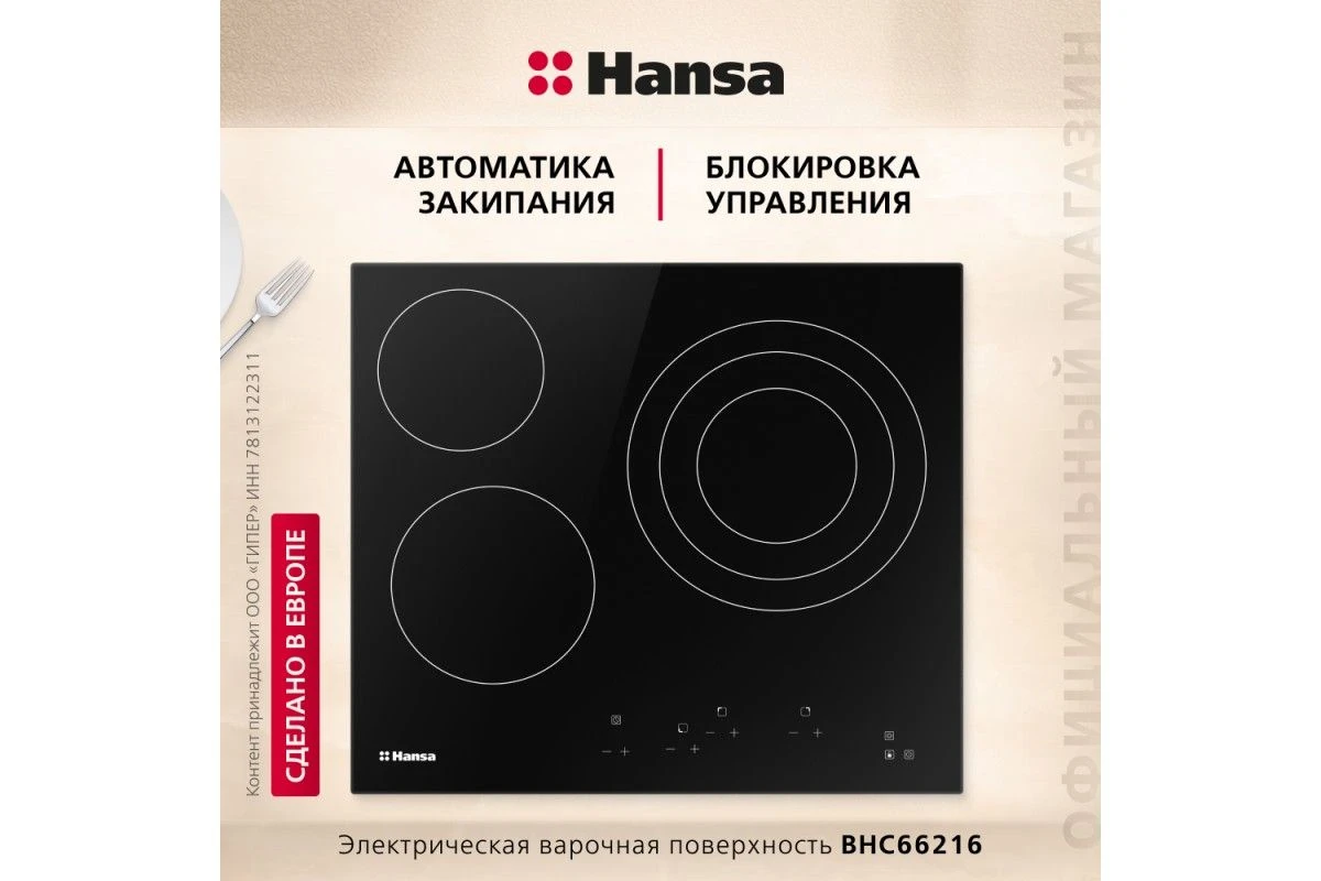 Электрическая панель Hansa BHC66216
