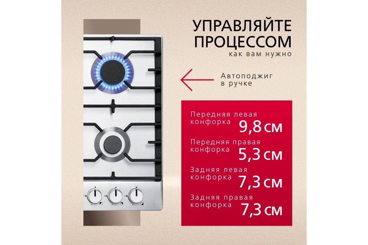 Газовая панель Hansa BHGI610391