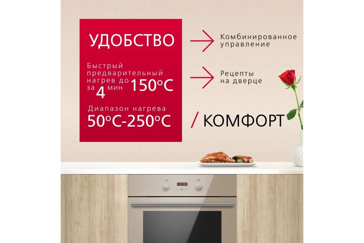 Духовой шкаф Hansa BOEB68433