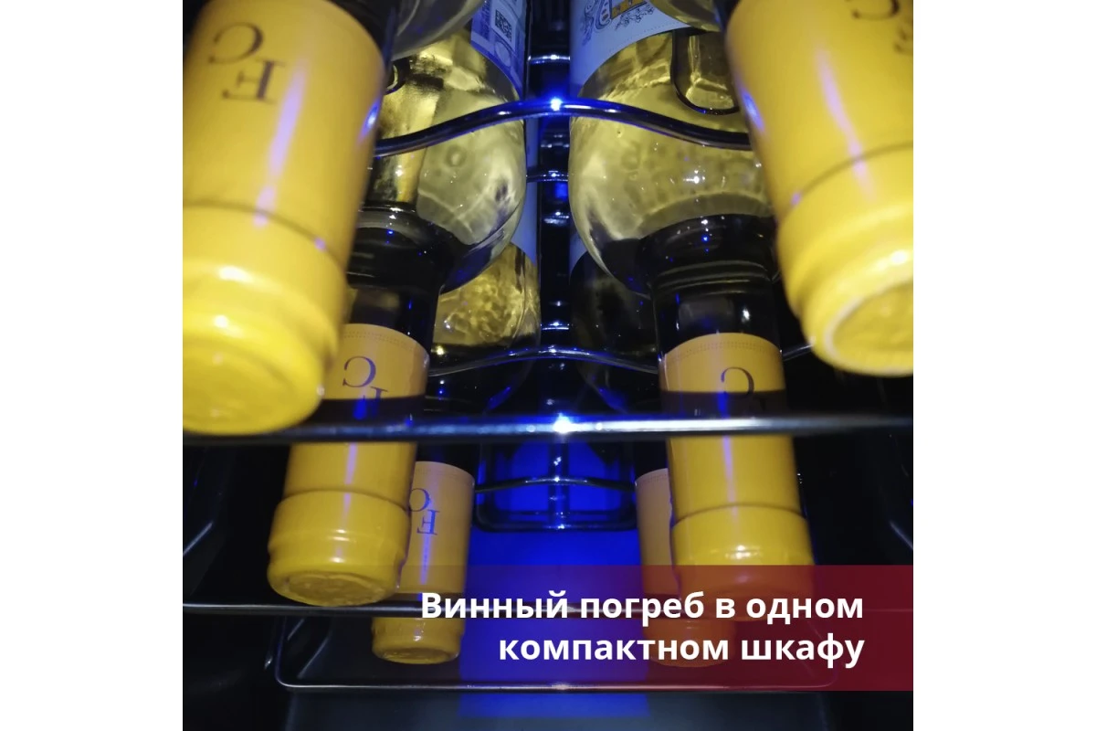 Винный шкаф Cold Vine C6-TBSF1
