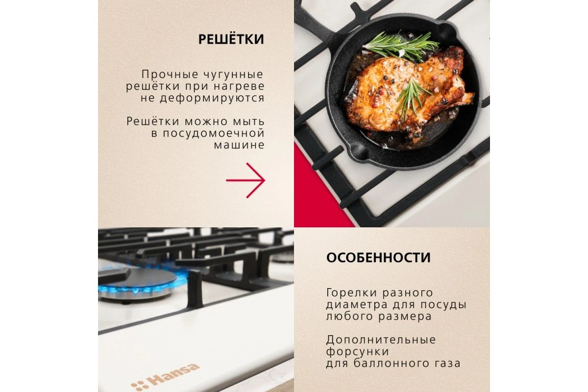 Газовая панель Hansa BHGY610791