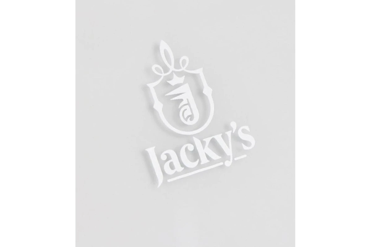 Каминная вытяжка Jacky's JV WW684